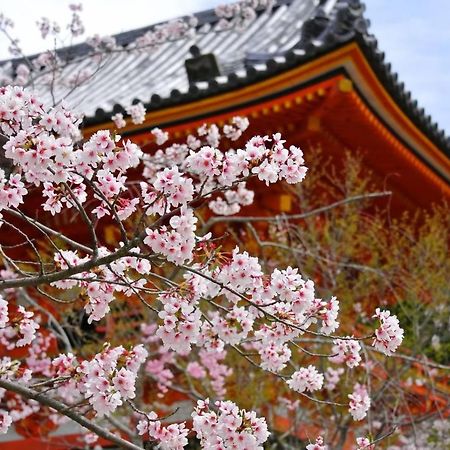 Stay Sakura Kyoto Fuga Kültér fotó