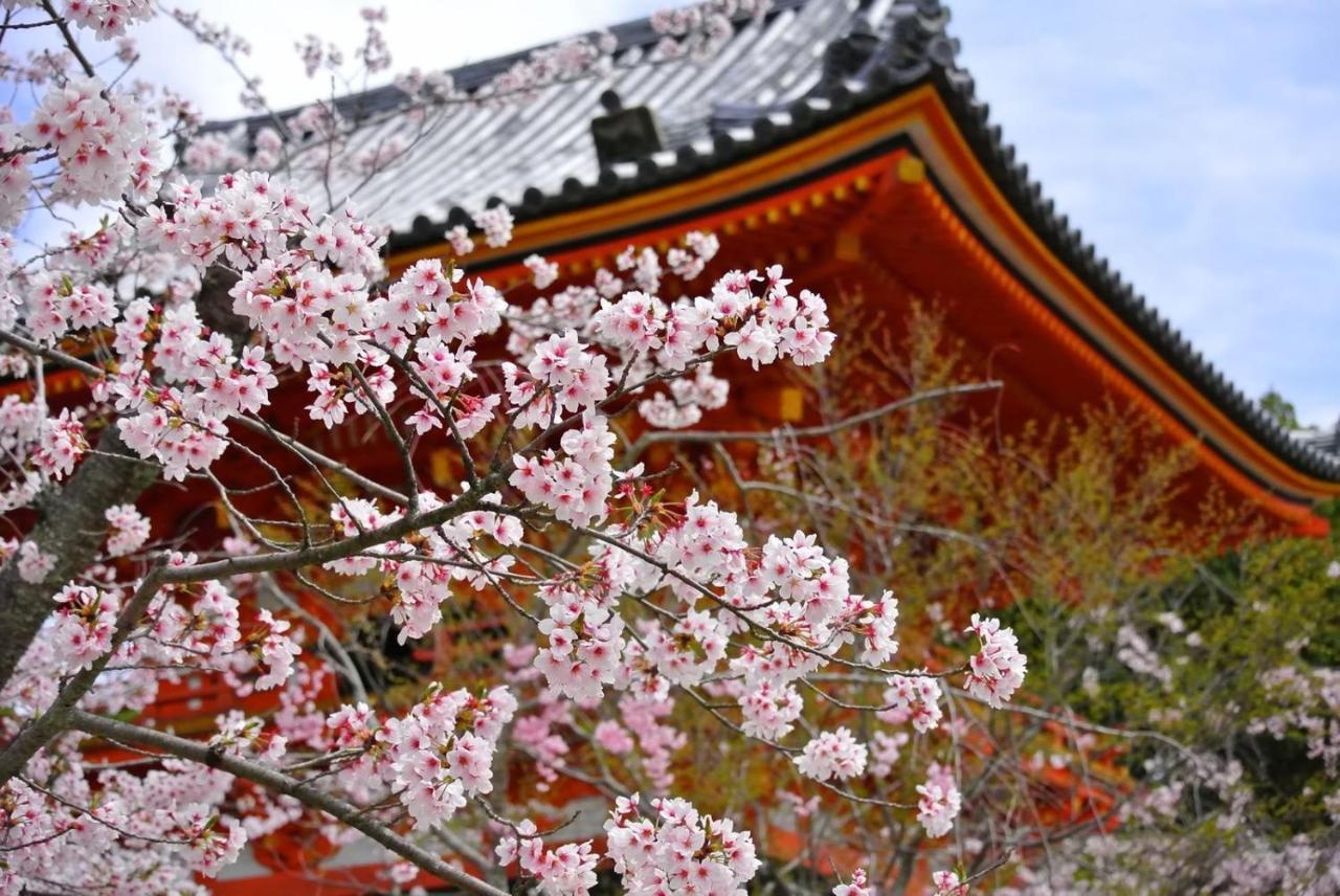 Stay Sakura Kyoto Fuga Kültér fotó